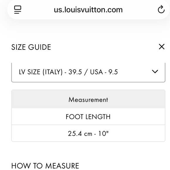 Louis Vuitton Archlight Sneakers (US 9.5) (EUC) - Picture 8 of 8